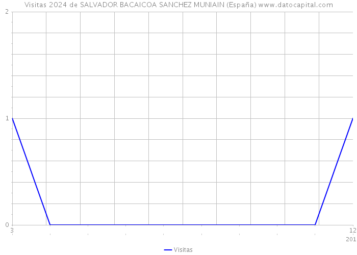 Visitas 2024 de SALVADOR BACAICOA SANCHEZ MUNIAIN (España) 