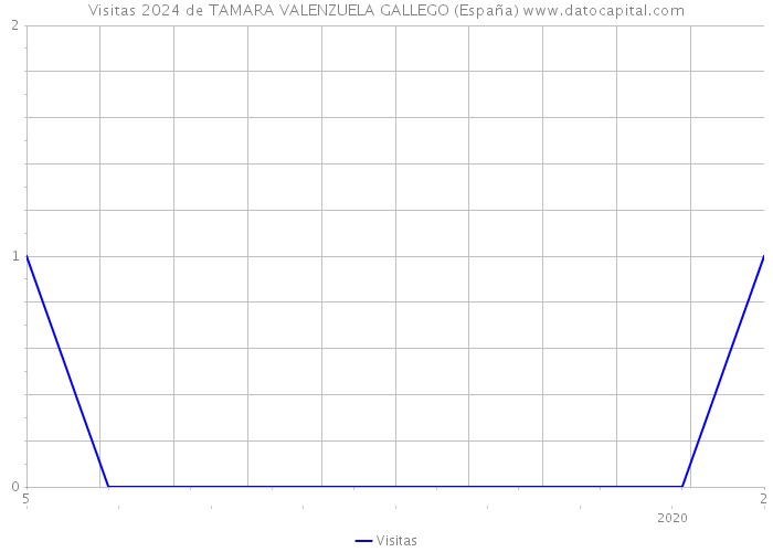 Visitas 2024 de TAMARA VALENZUELA GALLEGO (España) 