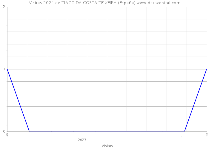 Visitas 2024 de TIAGO DA COSTA TEIXEIRA (España) 