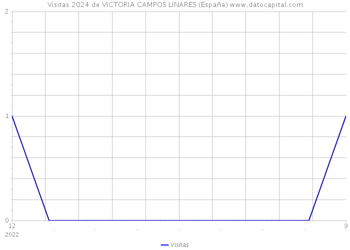 Visitas 2024 de VICTORIA CAMPOS LINARES (España) 