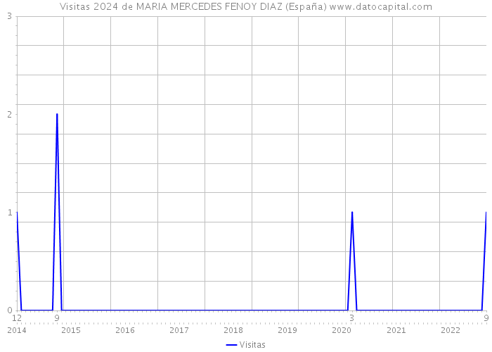 Visitas 2024 de MARIA MERCEDES FENOY DIAZ (España) 