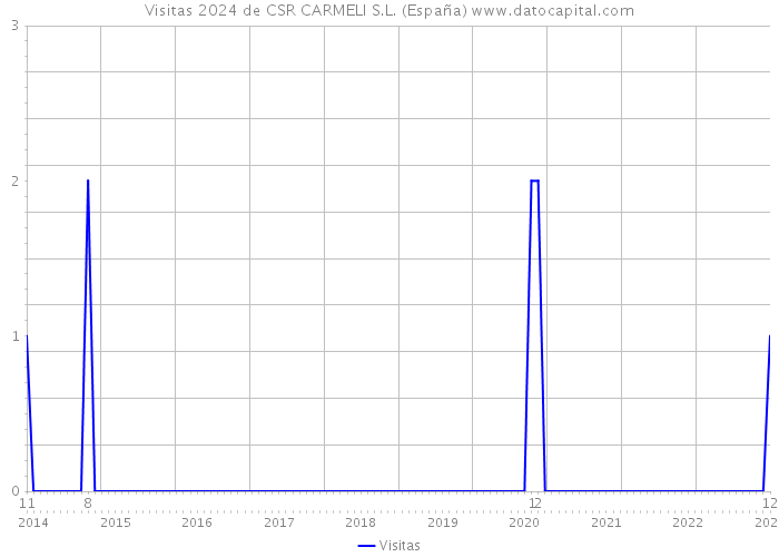 Visitas 2024 de CSR CARMELI S.L. (España) 