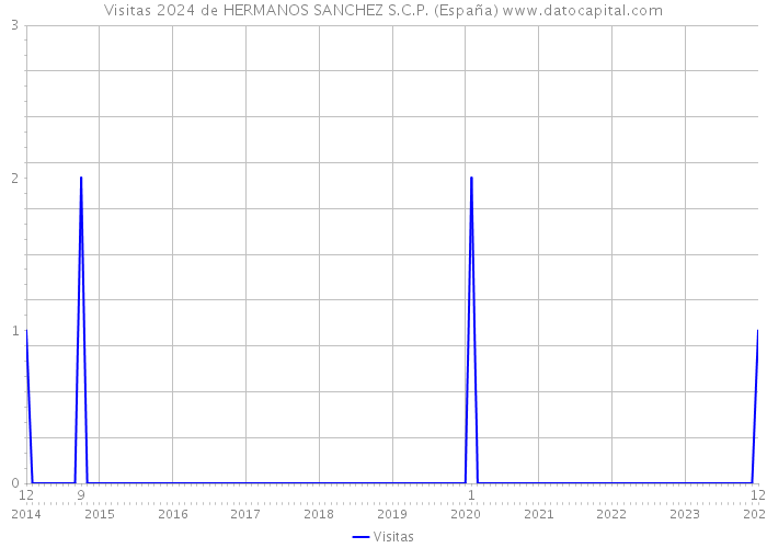 Visitas 2024 de HERMANOS SANCHEZ S.C.P. (España) 
