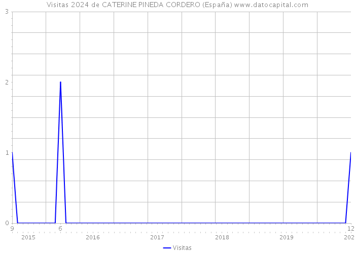 Visitas 2024 de CATERINE PINEDA CORDERO (España) 
