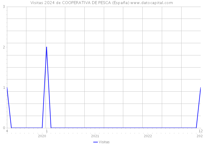 Visitas 2024 de COOPERATIVA DE PESCA (España) 