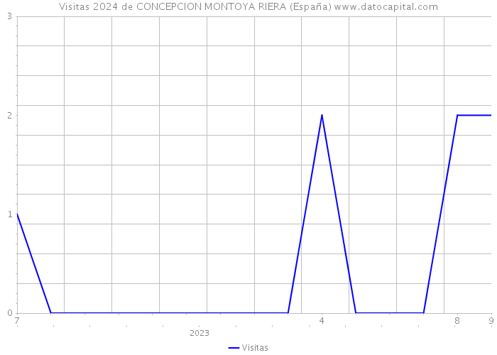 Visitas 2024 de CONCEPCION MONTOYA RIERA (España) 