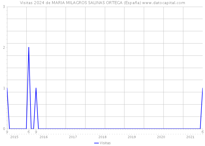 Visitas 2024 de MARIA MILAGROS SALINAS ORTEGA (España) 