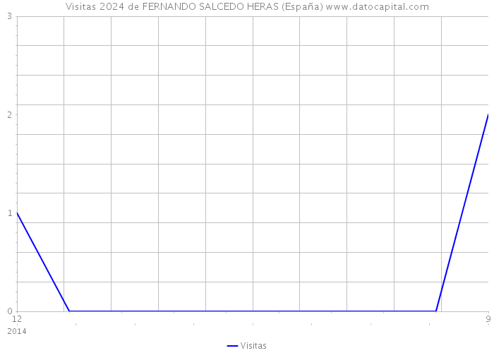 Visitas 2024 de FERNANDO SALCEDO HERAS (España) 