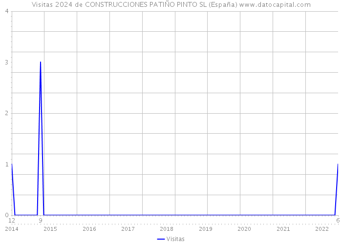 Visitas 2024 de CONSTRUCCIONES PATIÑO PINTO SL (España) 