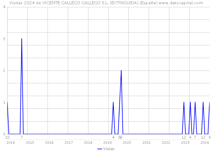 Visitas 2024 de VICENTE GALLEGO GALLEGO S.L. (EXTINGUIDA) (España) 