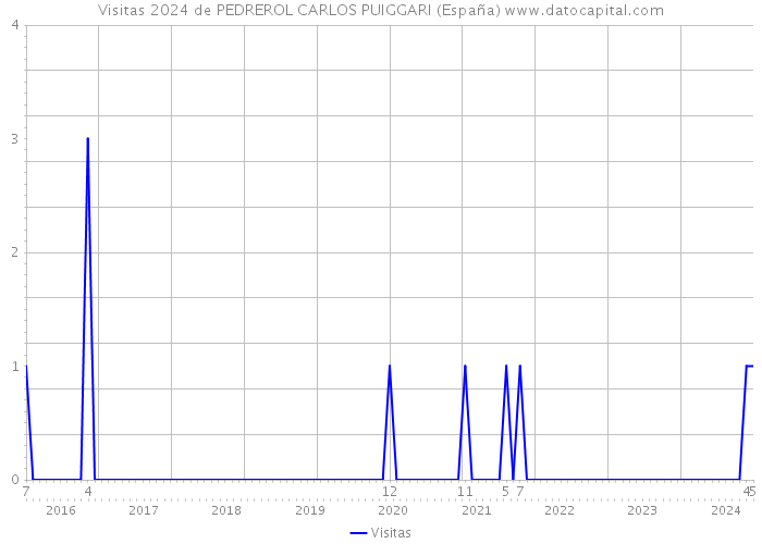 Visitas 2024 de PEDREROL CARLOS PUIGGARI (España) 