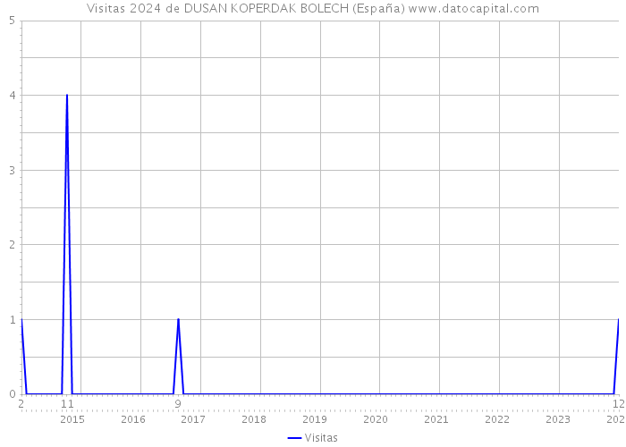 Visitas 2024 de DUSAN KOPERDAK BOLECH (España) 