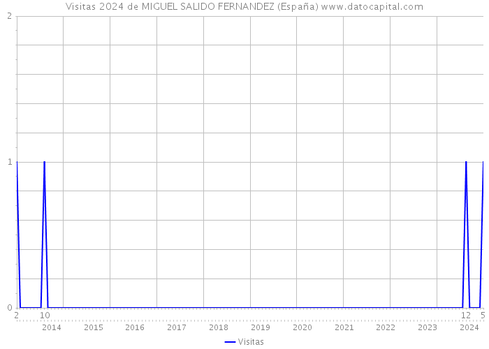 Visitas 2024 de MIGUEL SALIDO FERNANDEZ (España) 