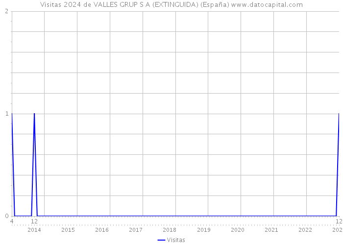Visitas 2024 de VALLES GRUP S A (EXTINGUIDA) (España) 