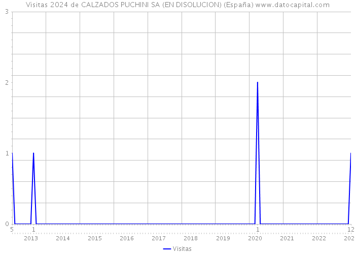 Visitas 2024 de CALZADOS PUCHINI SA (EN DISOLUCION) (España) 