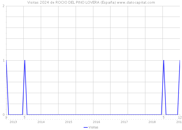 Visitas 2024 de ROCIO DEL PINO LOVERA (España) 