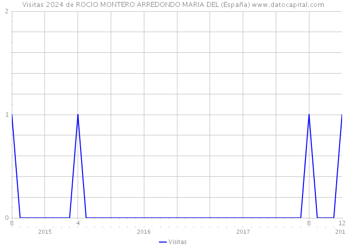 Visitas 2024 de ROCIO MONTERO ARREDONDO MARIA DEL (España) 