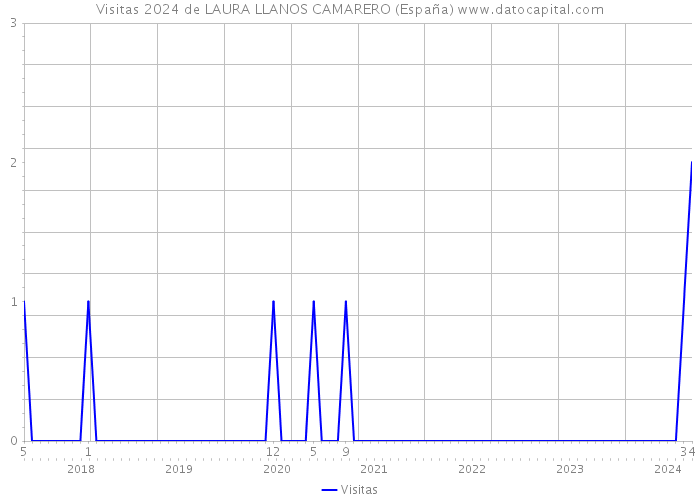 Visitas 2024 de LAURA LLANOS CAMARERO (España) 