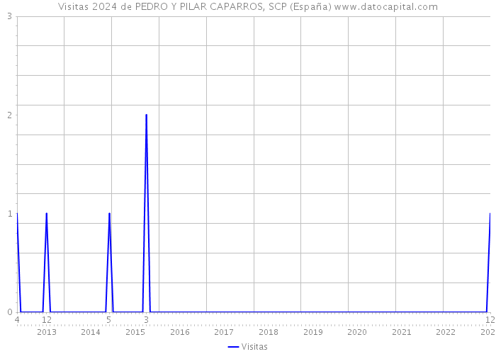 Visitas 2024 de PEDRO Y PILAR CAPARROS, SCP (España) 