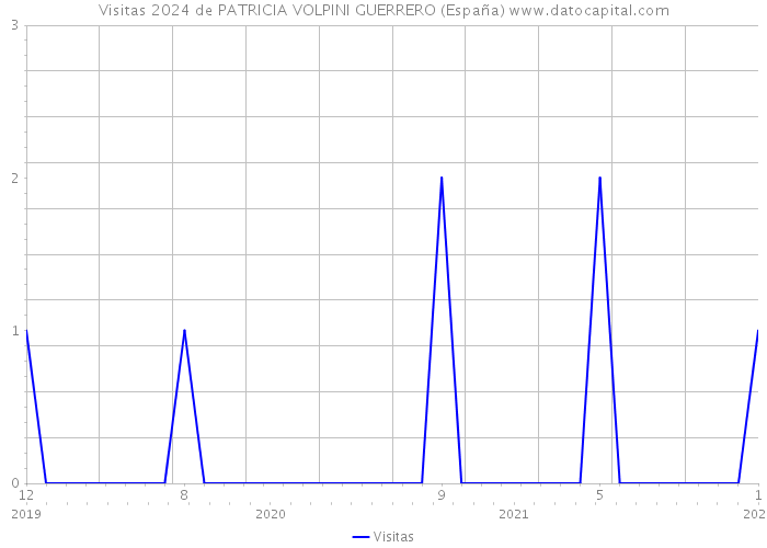 Visitas 2024 de PATRICIA VOLPINI GUERRERO (España) 