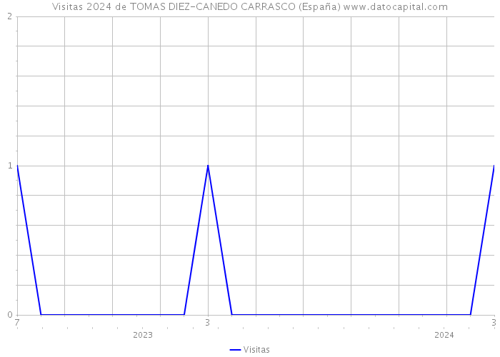 Visitas 2024 de TOMAS DIEZ-CANEDO CARRASCO (España) 