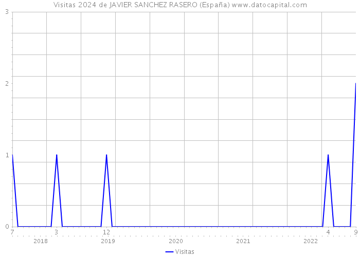 Visitas 2024 de JAVIER SANCHEZ RASERO (España) 