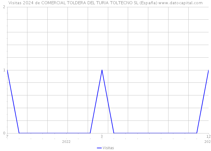 Visitas 2024 de COMERCIAL TOLDERA DEL TURIA TOLTECNO SL (España) 
