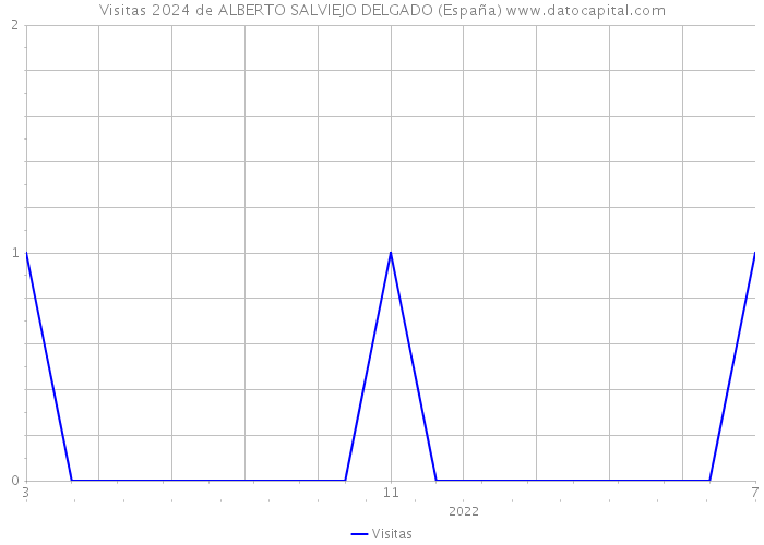 Visitas 2024 de ALBERTO SALVIEJO DELGADO (España) 