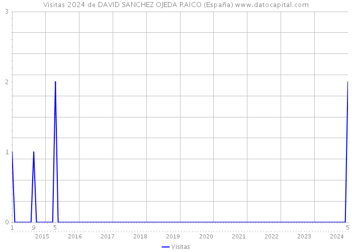 Visitas 2024 de DAVID SANCHEZ OJEDA RAICO (España) 