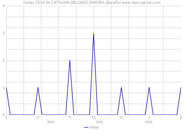 Visitas 2024 de CATALINA DELGADO ZAMORA (España) 