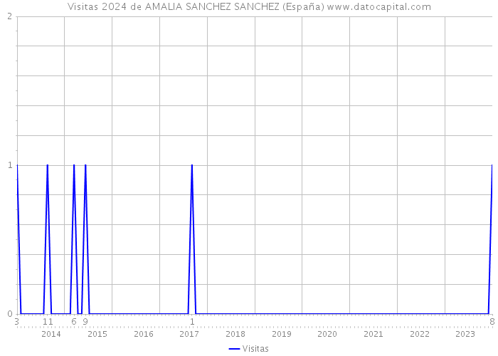 Visitas 2024 de AMALIA SANCHEZ SANCHEZ (España) 