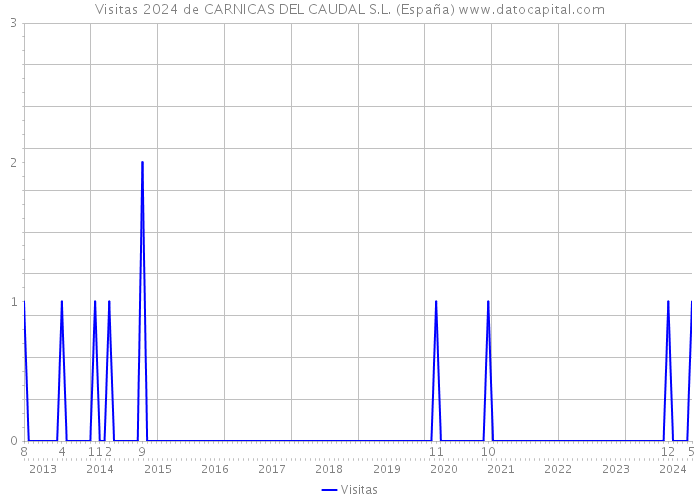 Visitas 2024 de CARNICAS DEL CAUDAL S.L. (España) 