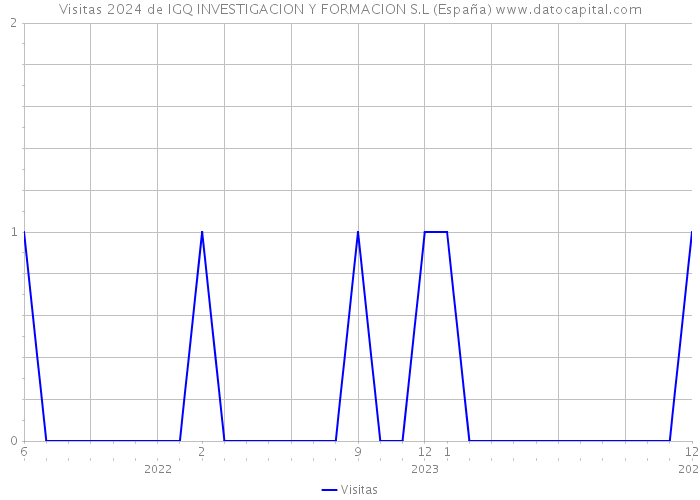 Visitas 2024 de IGQ INVESTIGACION Y FORMACION S.L (España) 