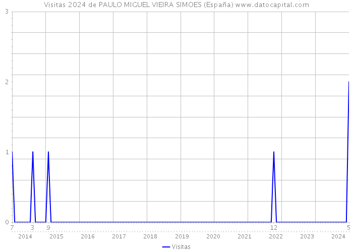 Visitas 2024 de PAULO MIGUEL VIEIRA SIMOES (España) 