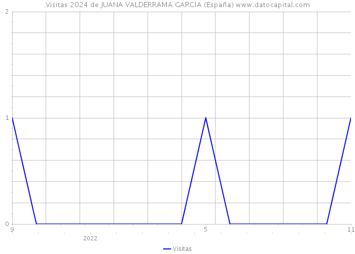 Visitas 2024 de JUANA VALDERRAMA GARCIA (España) 