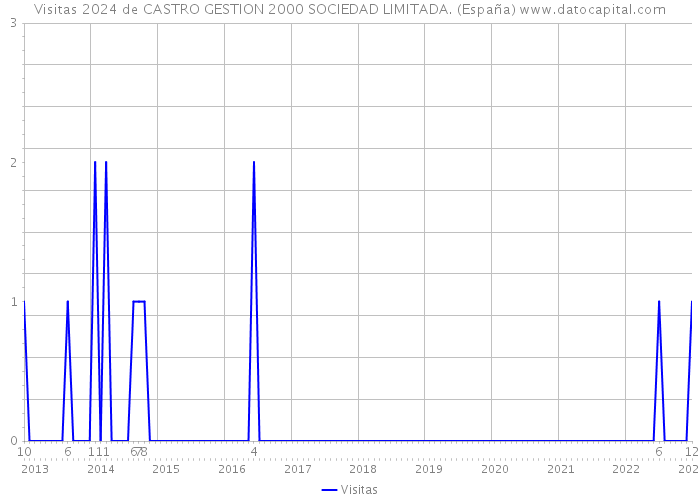 Visitas 2024 de CASTRO GESTION 2000 SOCIEDAD LIMITADA. (España) 