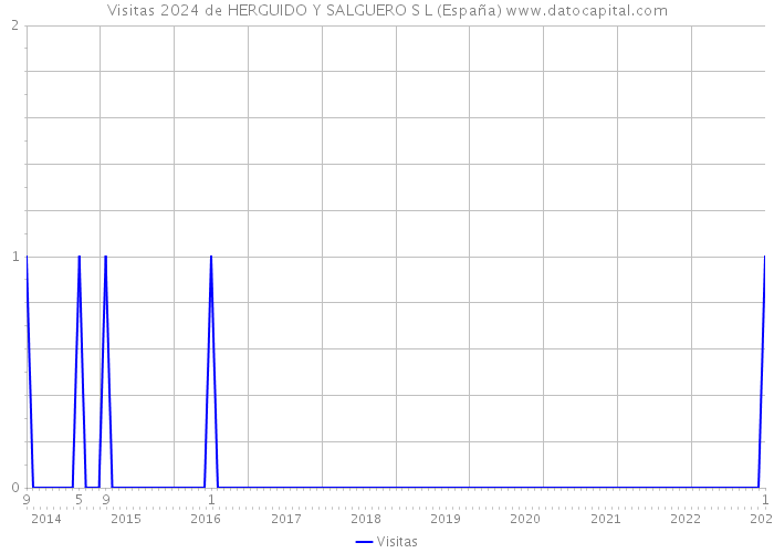Visitas 2024 de HERGUIDO Y SALGUERO S L (España) 