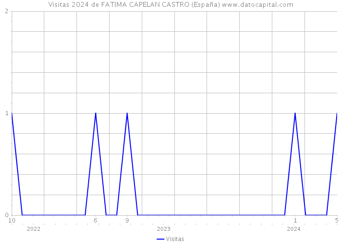 Visitas 2024 de FATIMA CAPELAN CASTRO (España) 