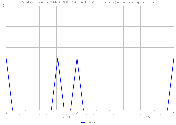 Visitas 2024 de MARIA ROCIO ALCALDE SOLIS (España) 