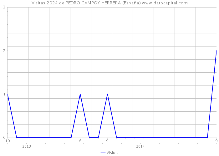 Visitas 2024 de PEDRO CAMPOY HERRERA (España) 