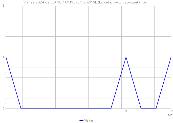 Visitas 2024 de BLANCO UNIVERSO 2020 SL (España) 