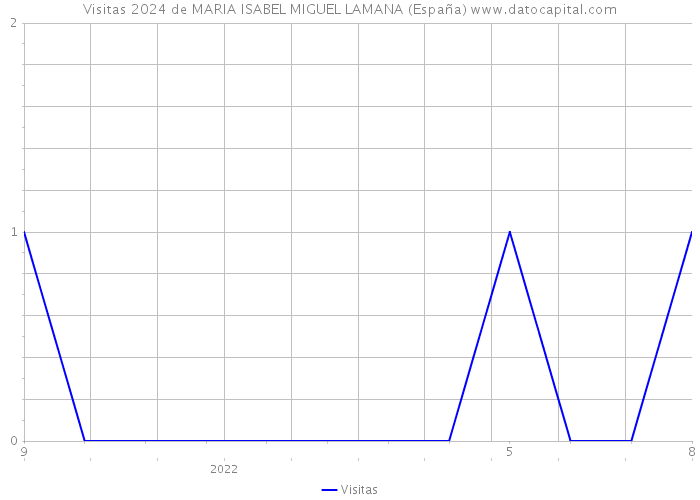Visitas 2024 de MARIA ISABEL MIGUEL LAMANA (España) 