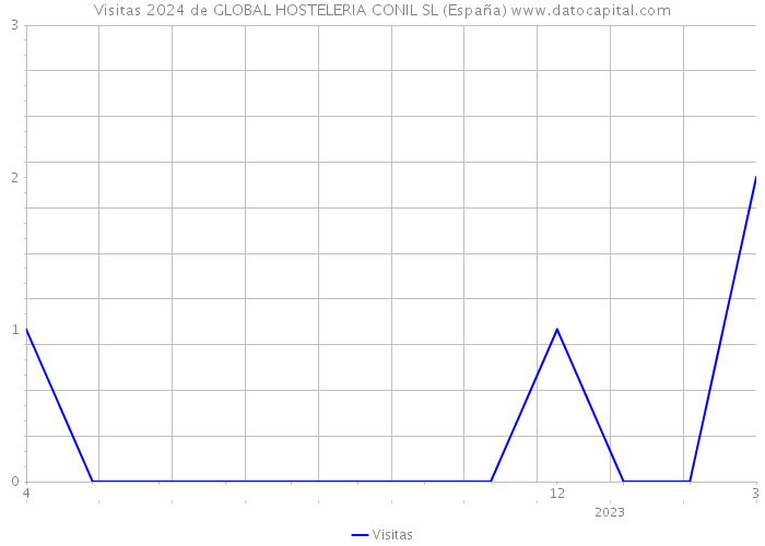 Visitas 2024 de GLOBAL HOSTELERIA CONIL SL (España) 