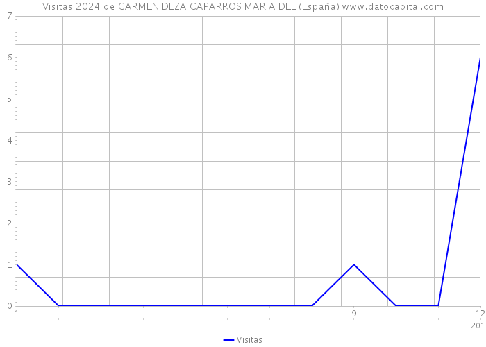 Visitas 2024 de CARMEN DEZA CAPARROS MARIA DEL (España) 