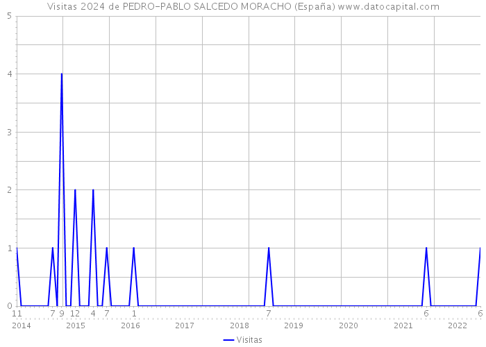 Visitas 2024 de PEDRO-PABLO SALCEDO MORACHO (España) 