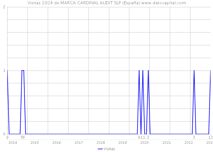 Visitas 2024 de MARCA CARDINAL AUDIT SLP (España) 