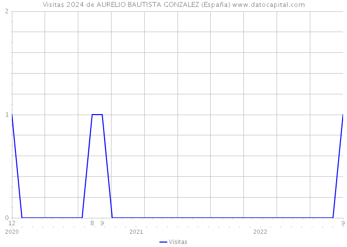Visitas 2024 de AURELIO BAUTISTA GONZALEZ (España) 