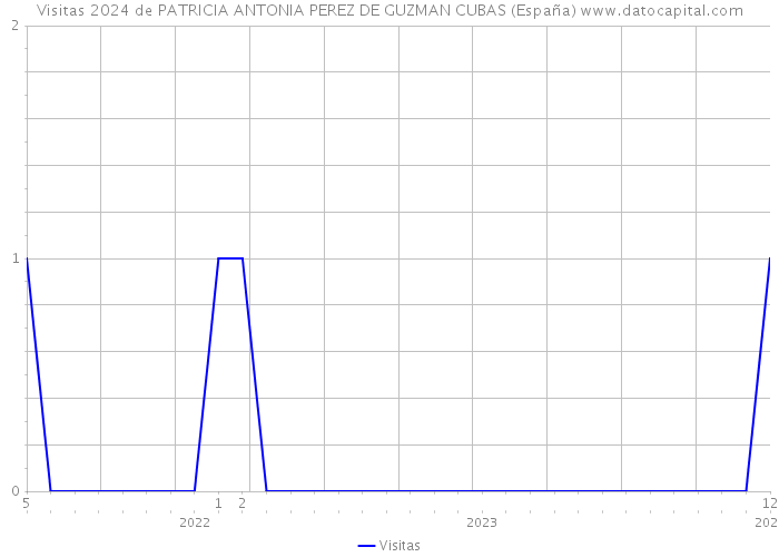 Visitas 2024 de PATRICIA ANTONIA PEREZ DE GUZMAN CUBAS (España) 