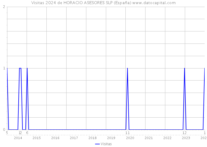 Visitas 2024 de HORACIO ASESORES SLP (España) 
