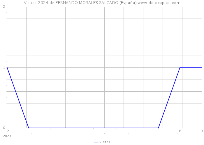 Visitas 2024 de FERNANDO MORALES SALGADO (España) 